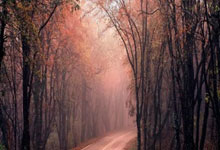 利物浦大比分击败对手，豪取三分