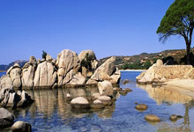 伯恩利击败对手，保持不败势头：一场让人热血沸腾的胜利