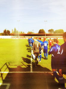 米兰体育官网登录入口-2024年国际乒联混合团体世界杯：印度队表现大放异彩，2024年乒乓球世锦赛  第2张